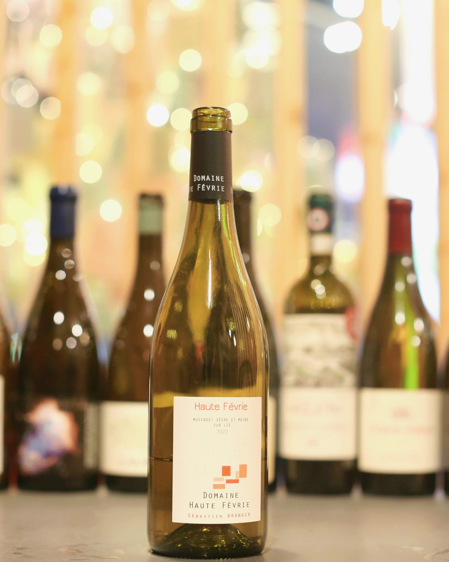 A bottle of Domaine Haute Févrie Muscadet-Sèvre et Maine Sur Lie 2022.